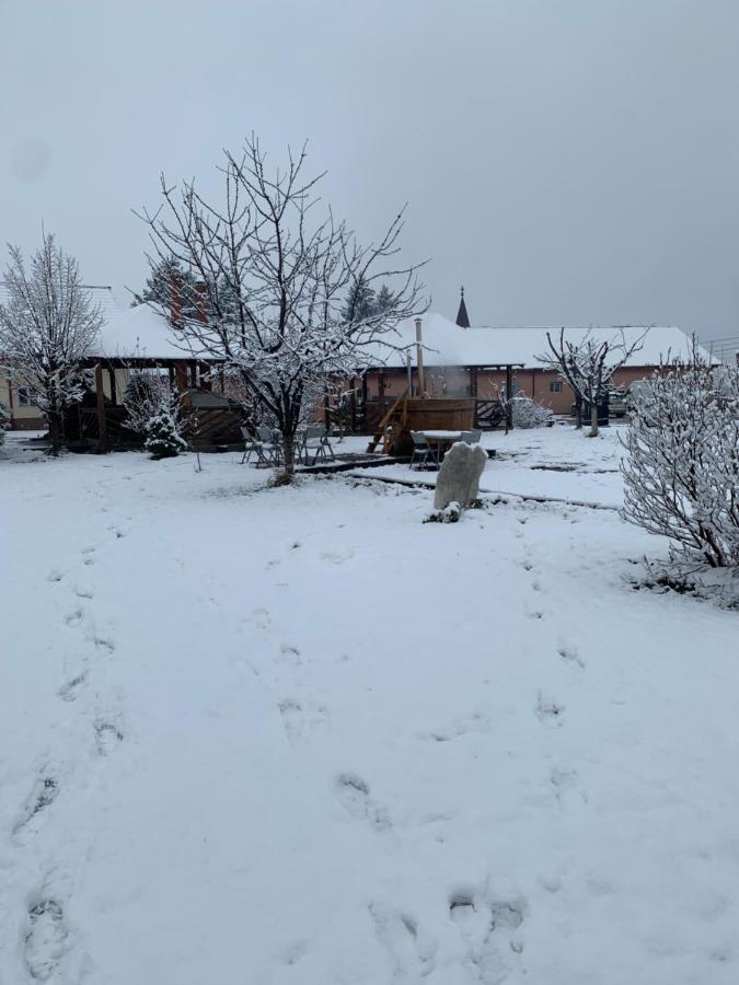 Pensiunea Marmis Riu Barbat Exterior foto