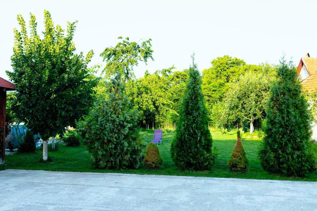 Pensiunea Marmis Riu Barbat Exterior foto