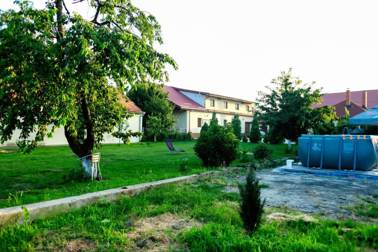 Pensiunea Marmis Riu Barbat Exterior foto